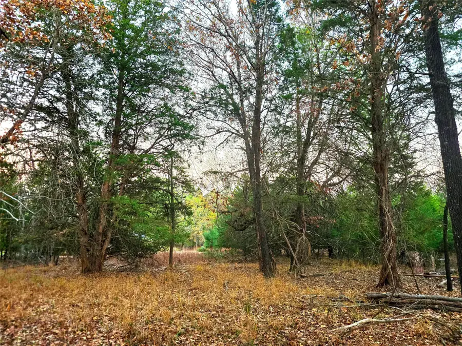 0 Mallard Way, Larue, TX 75770 - Image #2