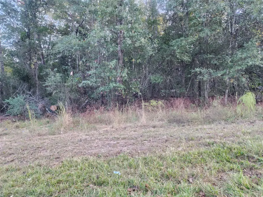 0 Dottie Ln Lane, Shepherd, TX 77371 - Image #2