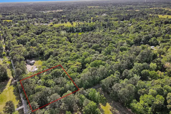 15711 Tree Monkey Rd, Conroe, TX 77303