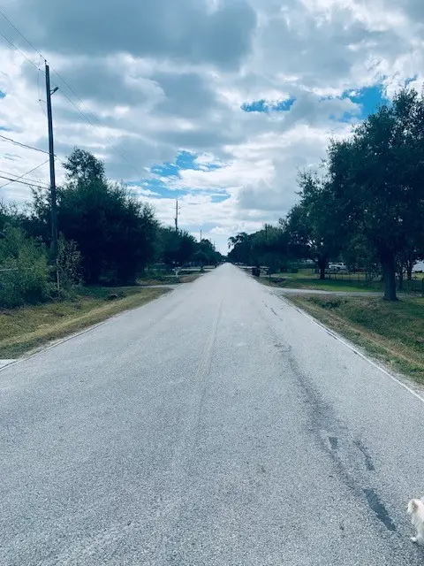 9018 Blueberry Lane, Houston, TX 77049 - Image #2