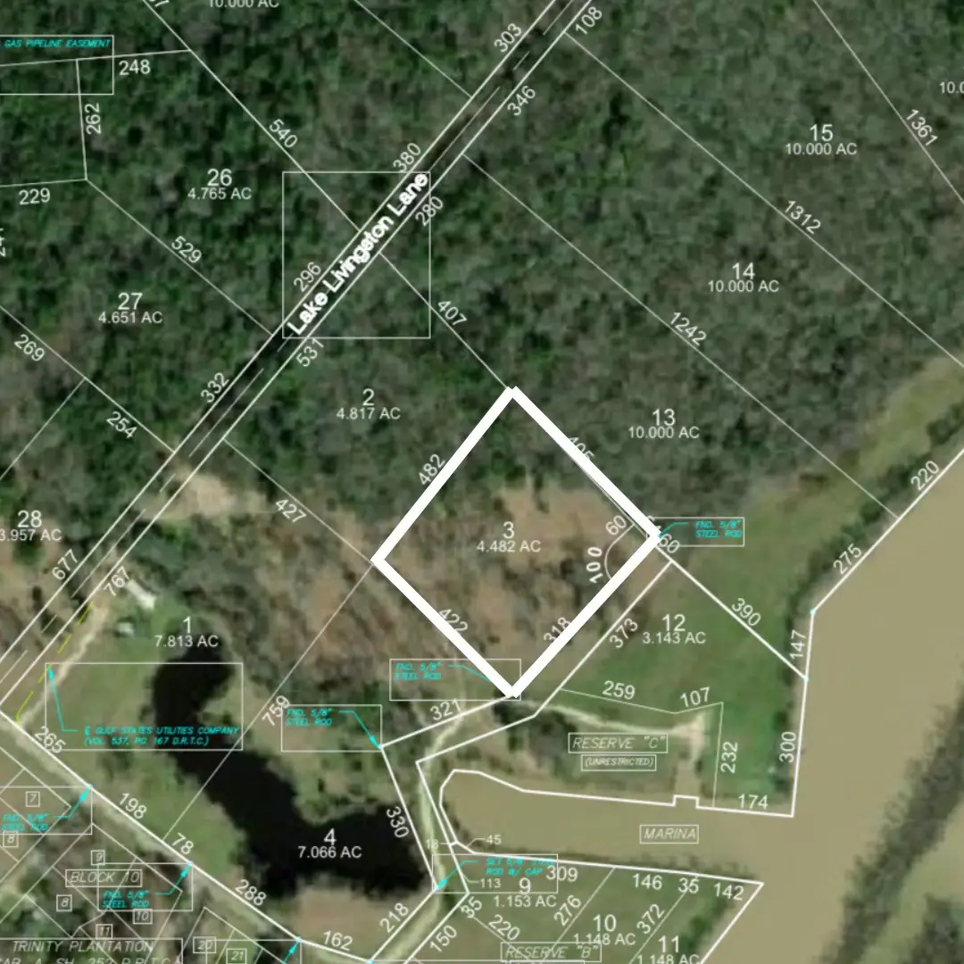 Lot 3 Lake Livingston Lane, Trinity, TX 75862 - Image #1