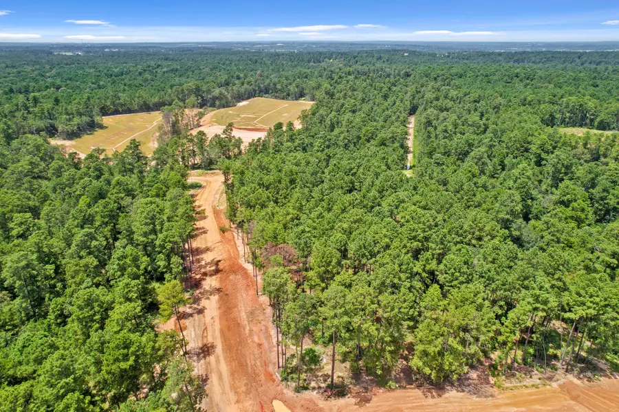 3937 Augusta Drive, Montgomery, TX 77316 - #2