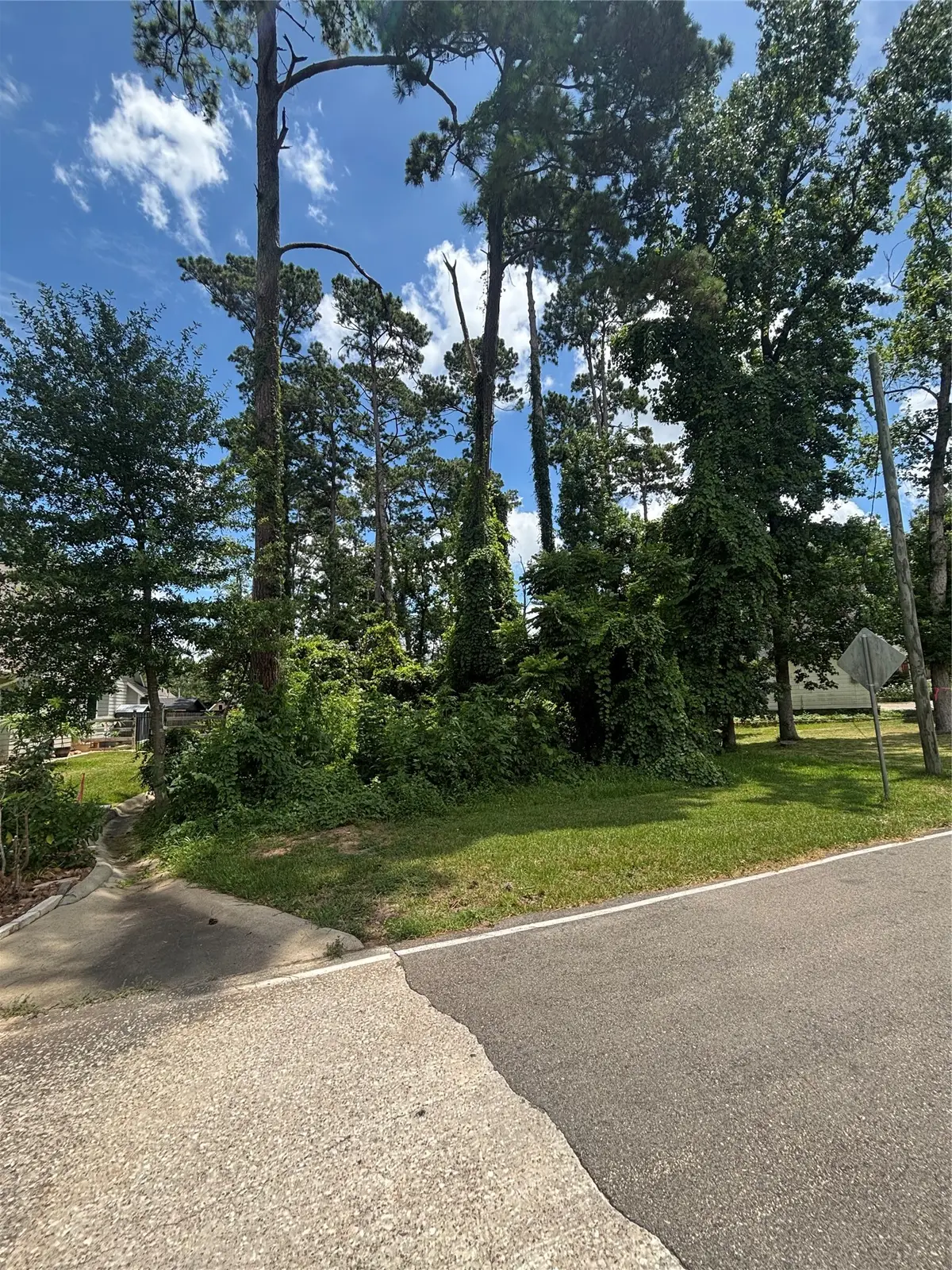 8 Cole Brook Lane, Conroe, TX 77304 - #1