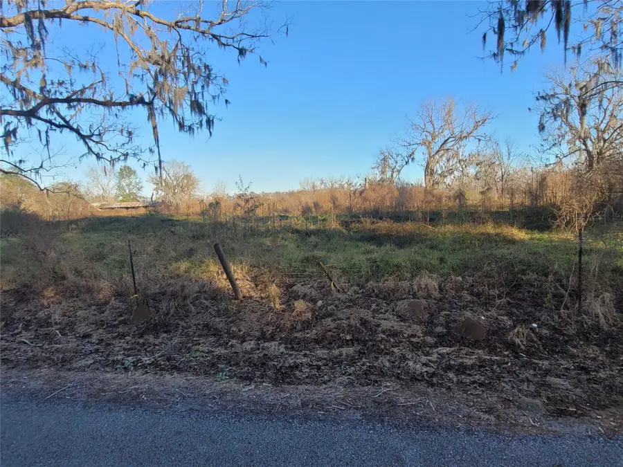 0 Cr-13, Damon, TX 77430 - Image #3