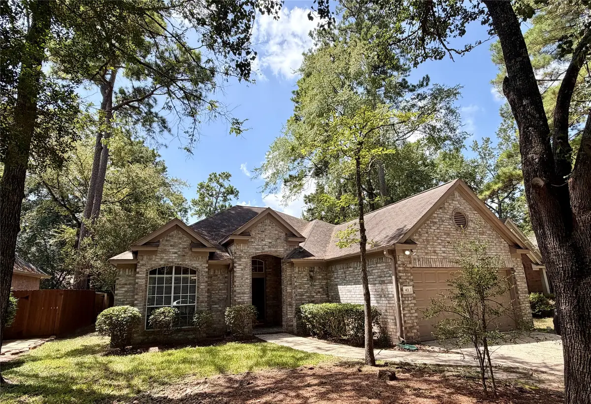 43 S Lace Arbor Drive, The Woodlands, TX 77382 - #1