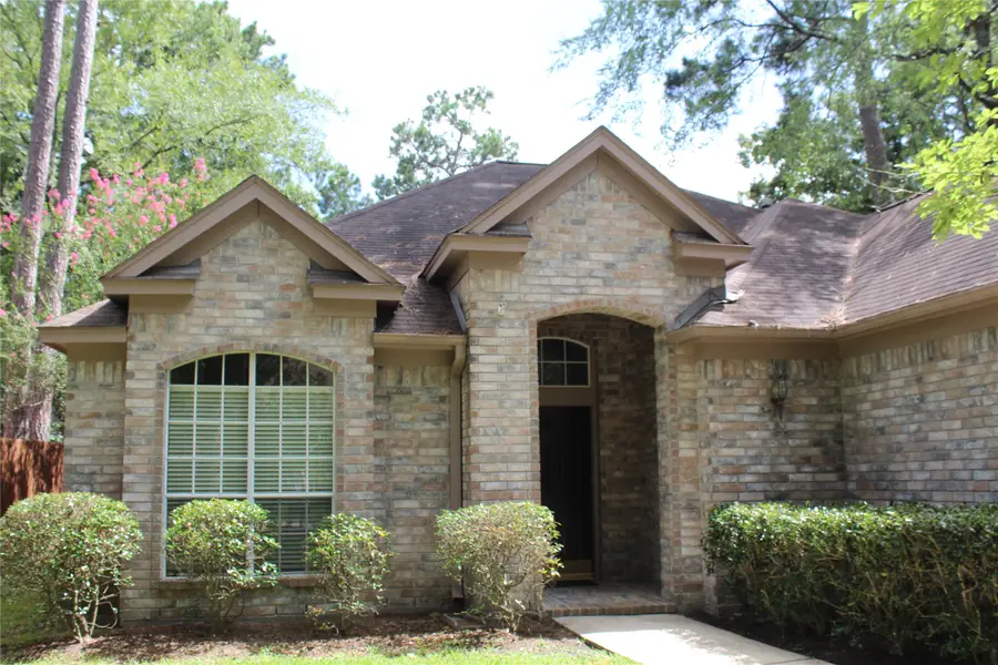 43 S Lace Arbor Drive, The Woodlands, TX 77382 - #3