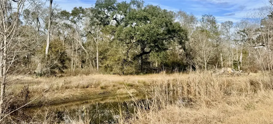 6944 County Road 359, Sweeny, TX 77480 - Image #3