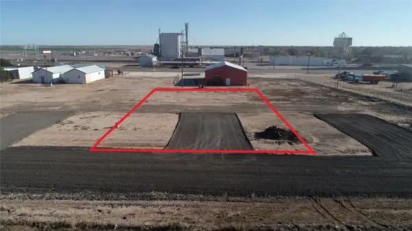 202 Hartwell Avenue, Bovina, TX 79009