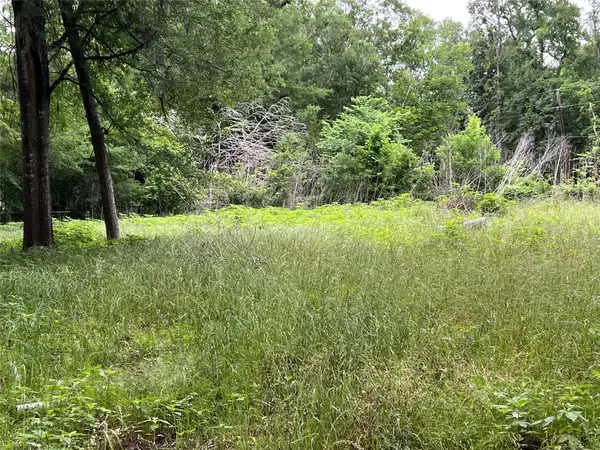 1015 Smith Street, Coldspring, TX 77331