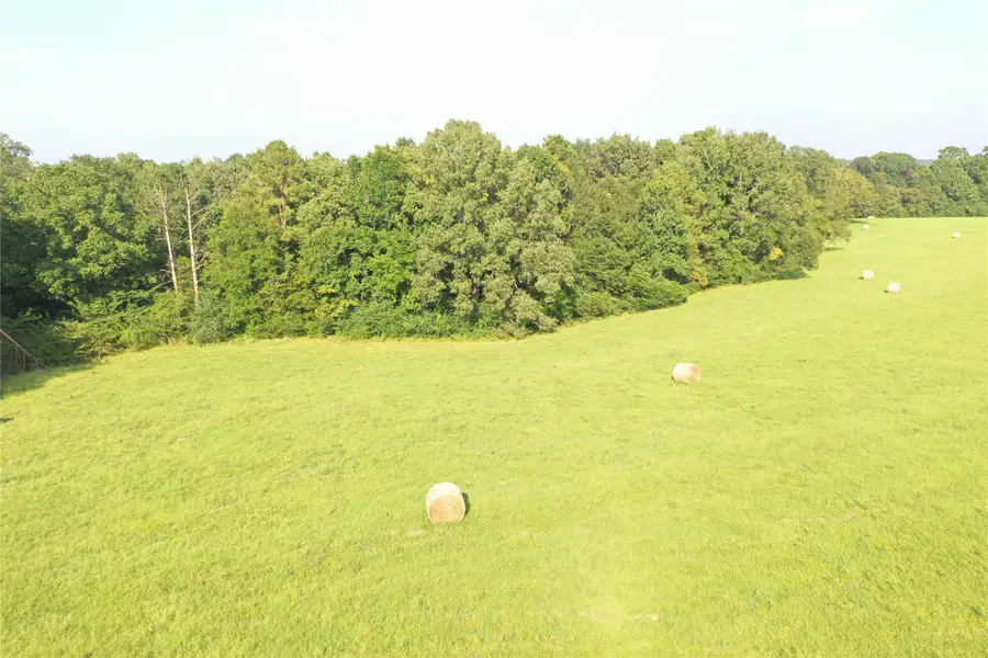 TBD David Hon Rd, Livingston, TX 77351 - Image #2