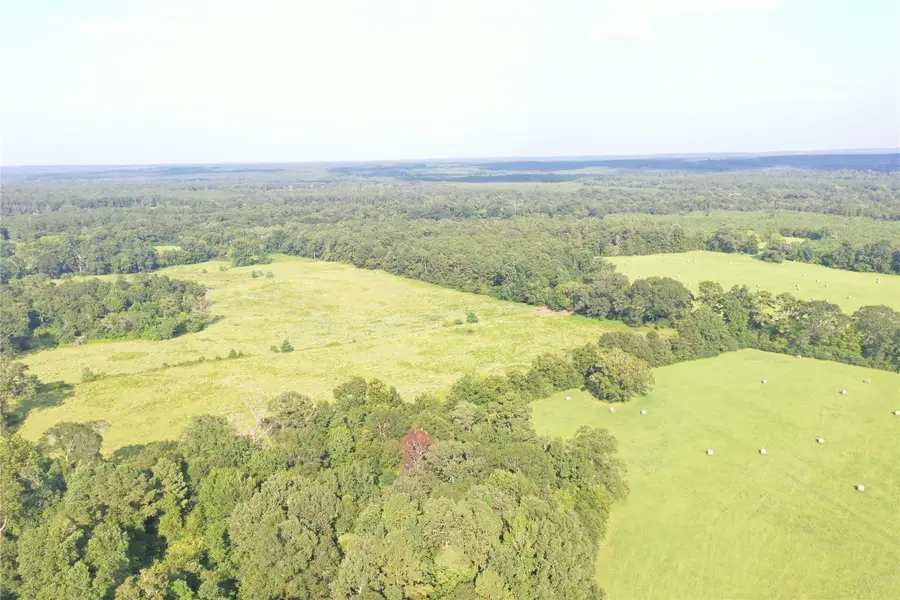 TBD David Hon Rd, Livingston, TX 77351 - Image #3