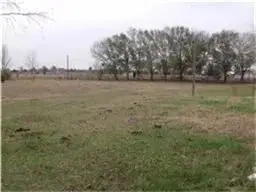 19703 Frey Road, Pine Island, TX 77445 - Image #1