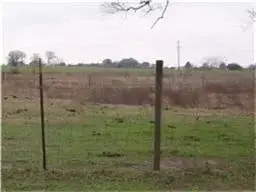 19703 Frey Road, Pine Island, TX 77445 - Image #2