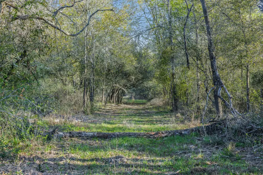 1746 County Road 103, Columbus, TX 78934 - #3