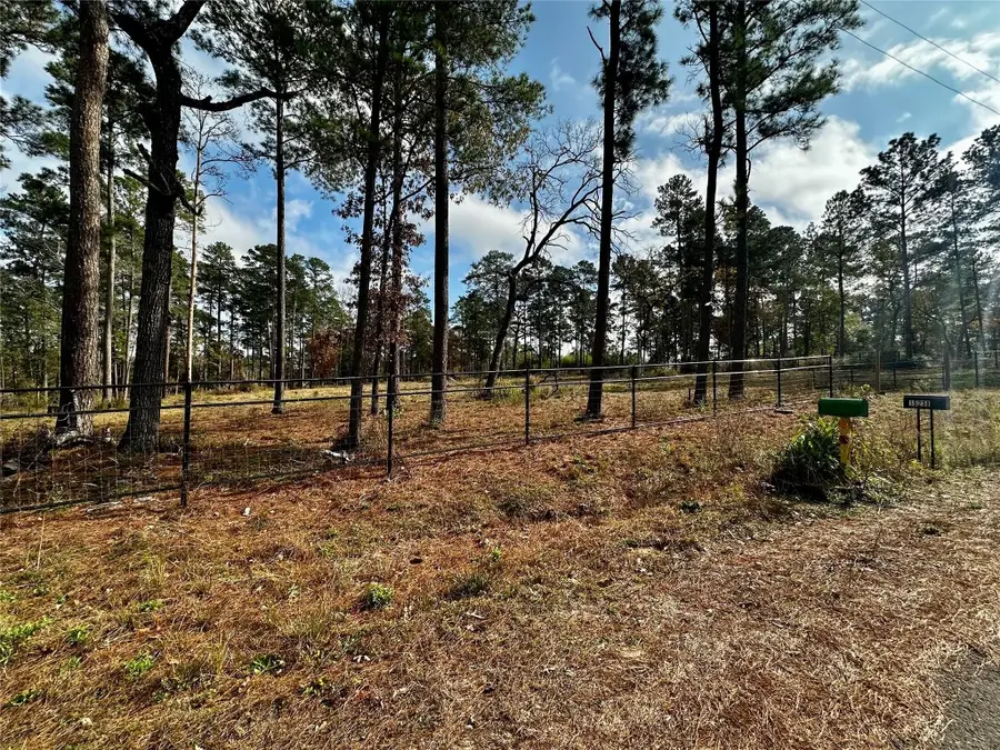 15238 Crape Myrtle Lane, Navasota, TX 77868 - #2