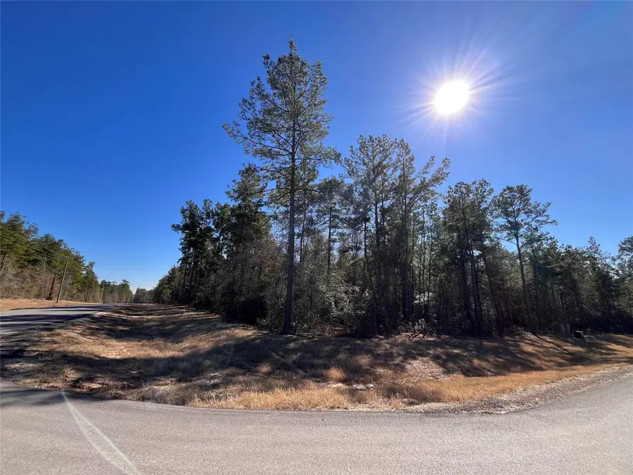 86 Coyote Run, Willis, TX 77378 - #2