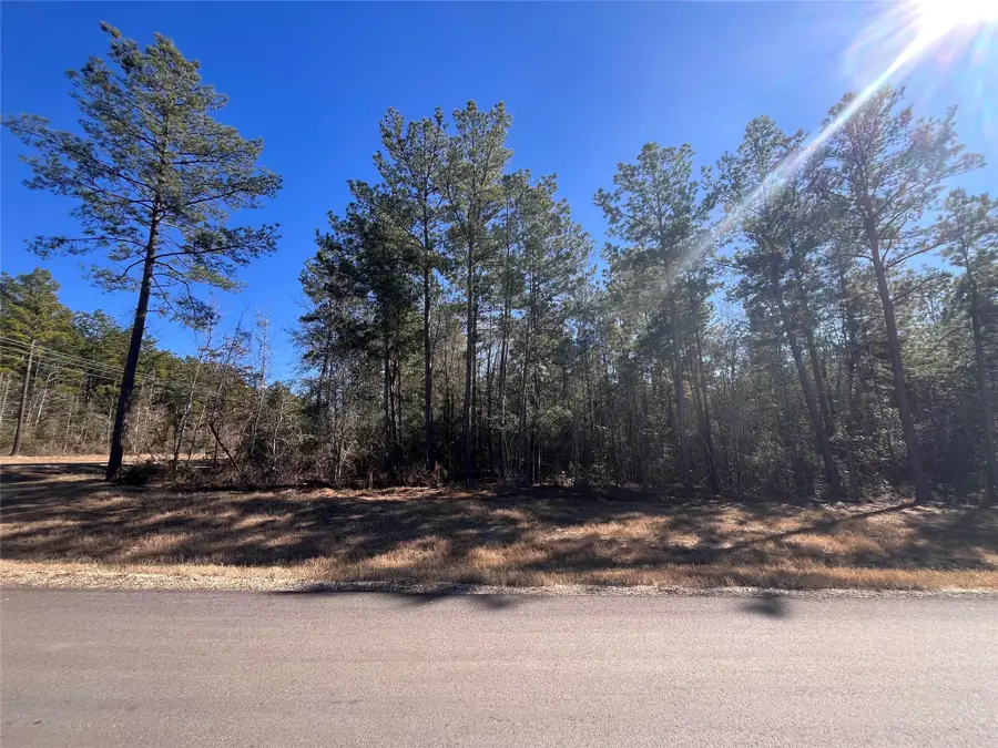 86 Coyote Run, Willis, TX 77378 - #3