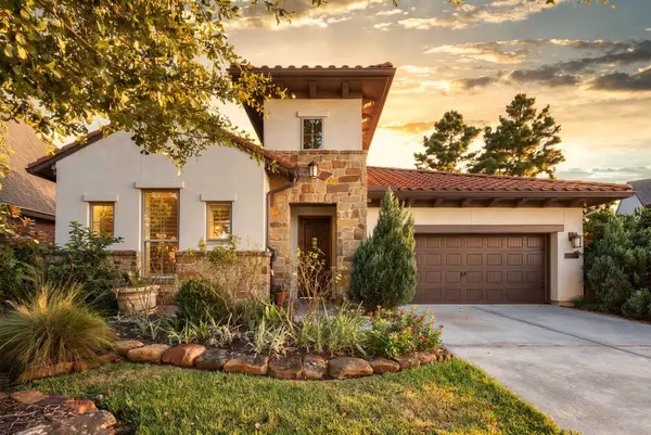 107 NE Eryngo Park Court, Montgomery, TX 77316