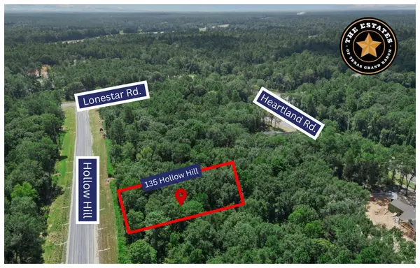 135 Hollow Hill Drive, New Waverly, TX 77358