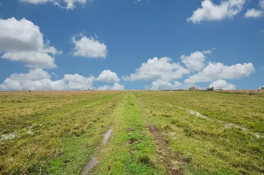 TBD 1 Brumbelow Road, Needville, TX 77461 - Image #3