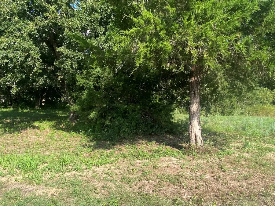 571 Railroad St Road, Somerville, TX 77879 - #3