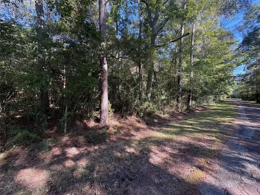 25595 Fm 787, Thicket, TX 77374 - #2