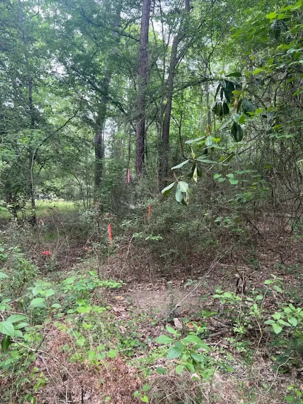 0 Conway Road, Livingston, TX 77351 - Image #3