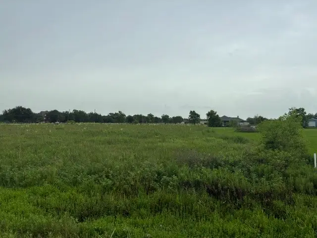 0 County Road 158, Alvin, TX 77511 - #1