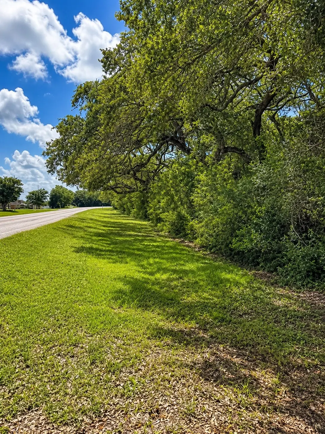 0 Fm 2853 Perry Reed Pybus Pasture, Tidehaven, TX 77465 - #1