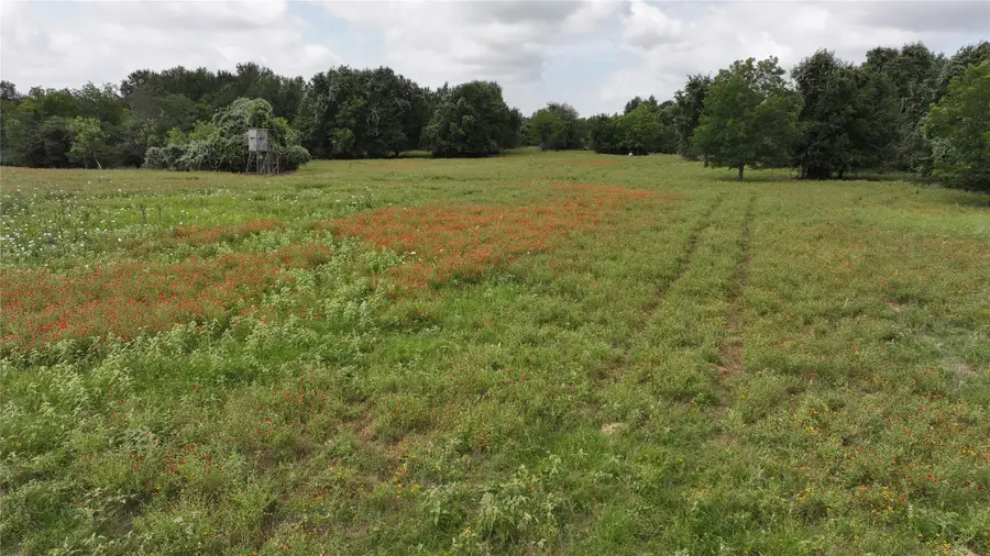 TBD Rose Hill Rd / Pleasant Rd, Bremond, TX 77837 - #3