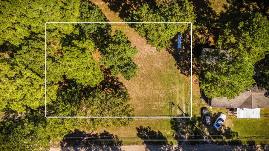 339 Canadian Drive, Trinity, TX 75862 - Image #3