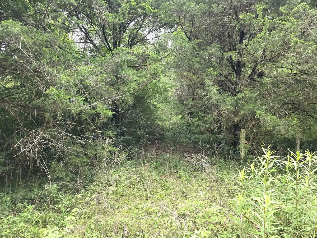 1069 Conestoga Trail, Livingston, TX 77351 - #1