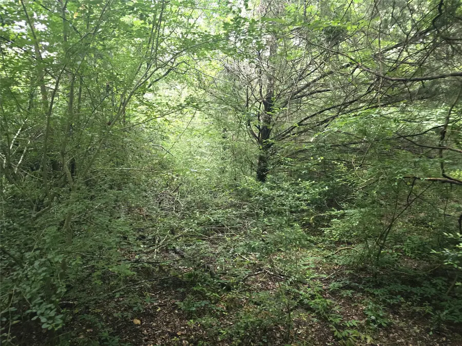 1069 Conestoga Trail, Livingston, TX 77351 - #2