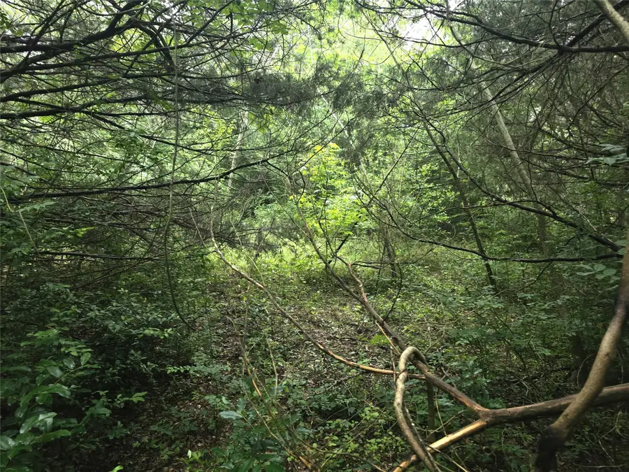 1069 Conestoga Trail, Livingston, TX 77351 - #3