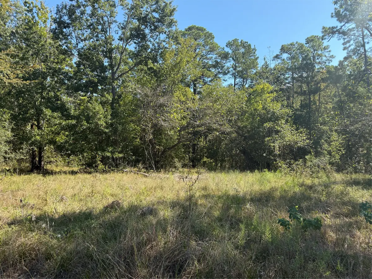 TBD Shadowood 2 Lane, Coldspring, TX 77331 - #1