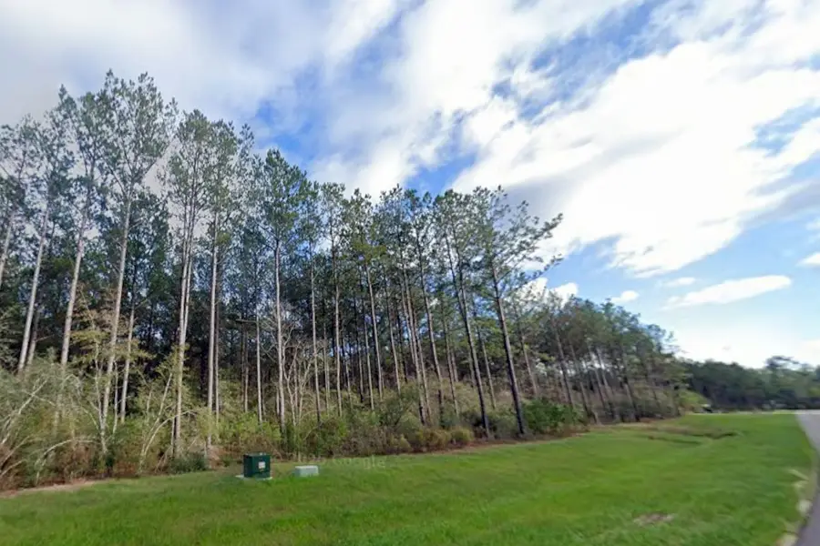 16010 Forest Mill Road, Willis, TX 77378 - #3