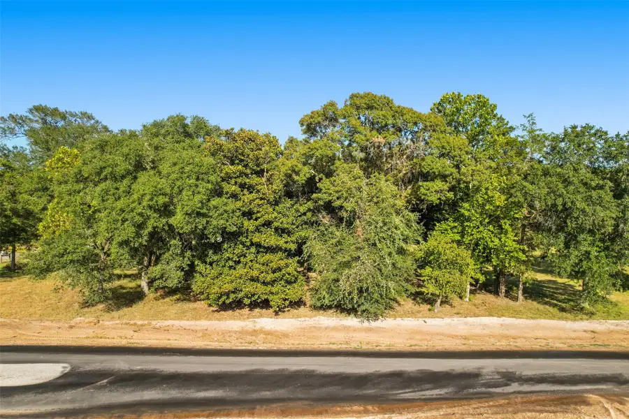 18296 Woodstream Crossing Road, Montgomery, TX 77316 - #2