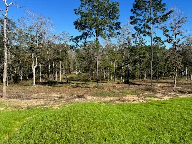 TBD LOT 27 Addison Rd, Livingston, TX 77351 - #2