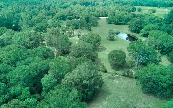 27610 S Log Cabin Road, Montgomery, TX 77356