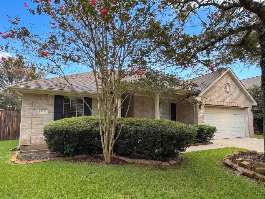 3823 Canton, Pearland, TX 77584 - #2