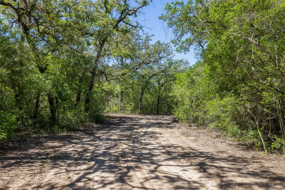 2465 County Road 58, Caldwell, TX 77836 - #1
