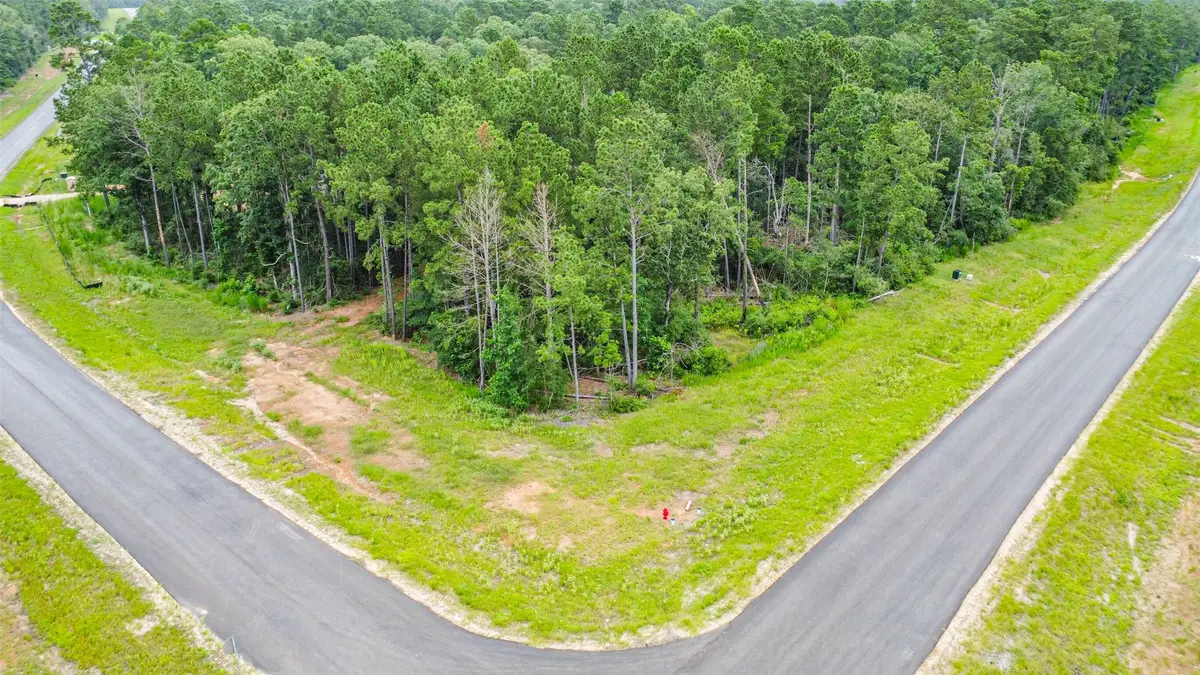 15945 Four Hills Road, Willis, TX 77378 - Image #1