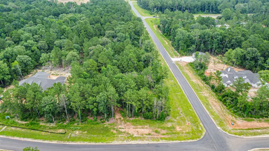 15945 Four Hills Road, Willis, TX 77378 - Image #3