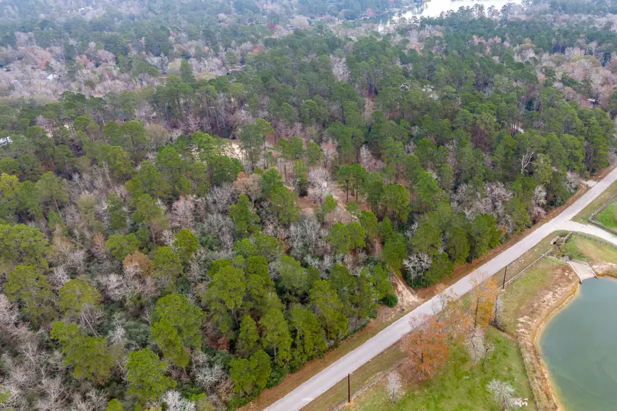 14074 Lewis Lane, Montgomery, TX 77316 - Image #2