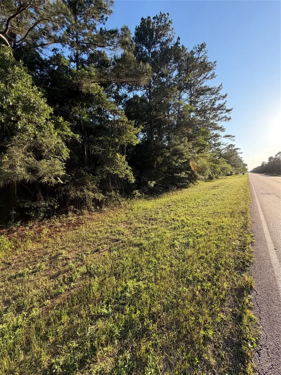 0 Reids Prairie Road, Waller, TX 77484 - #3