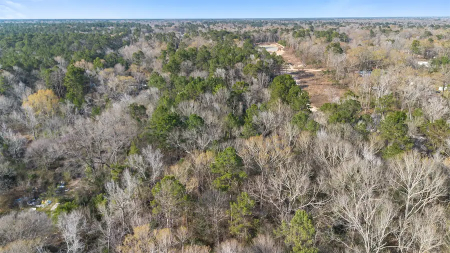 TBD Mcgager Drive, New Caney, TX 77357 - #3