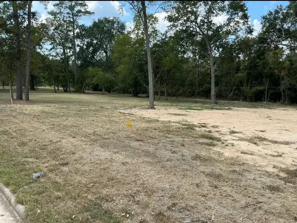 1602 Cypress Cove Street, Houston, TX 77090