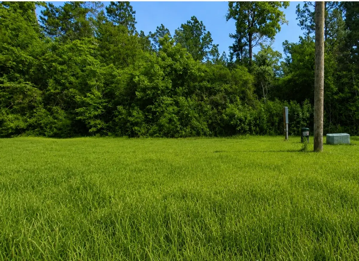 35 Coyote Run, Willis, TX 77378 - #1