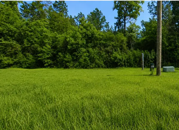 35 Coyote Run, Willis, TX 77378