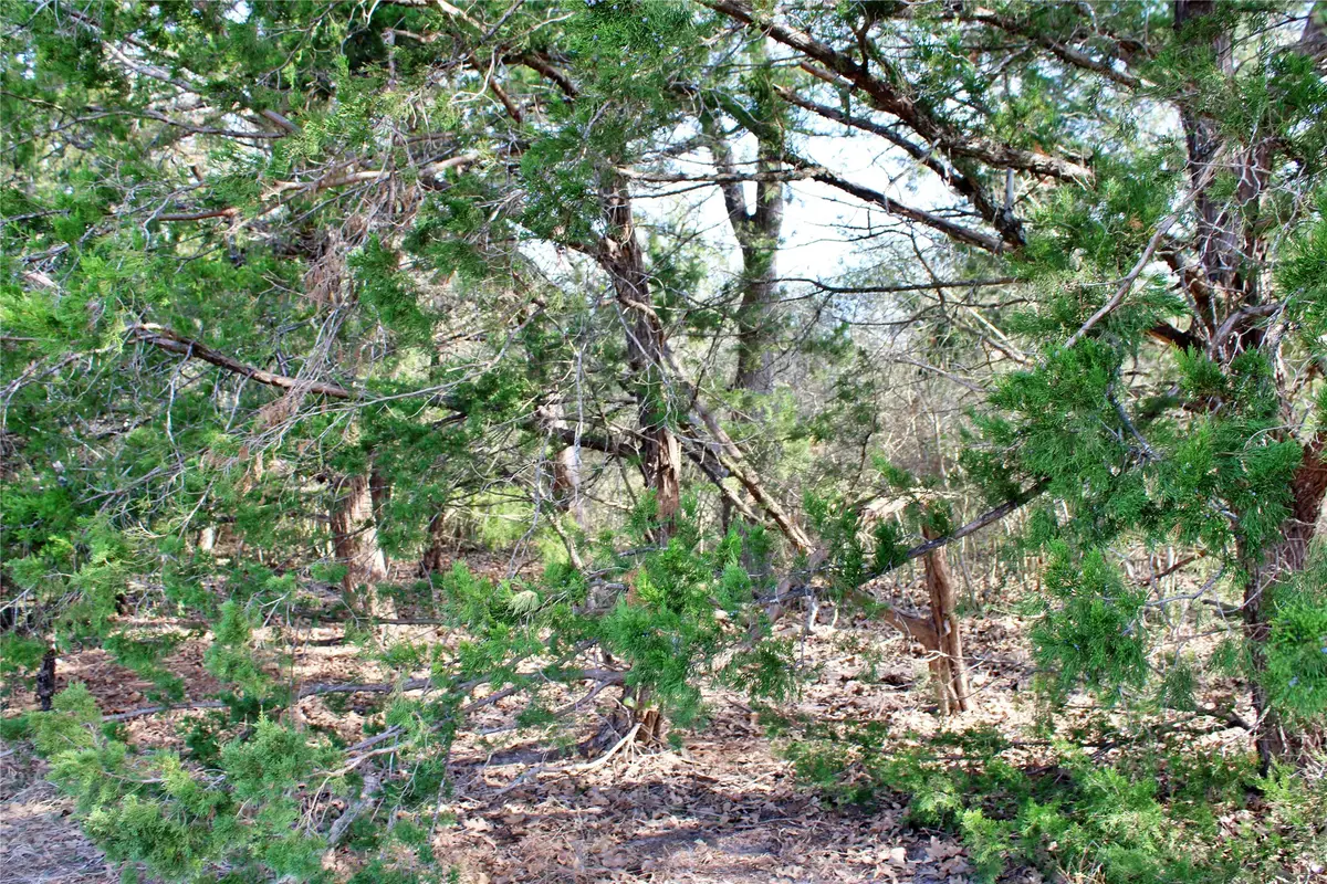 TBD Parcel 5 Lobo Lane, Columbus, TX 78934 - #1